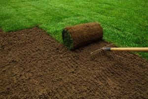 Expert Sodding Installation Services for a Perfect Yard