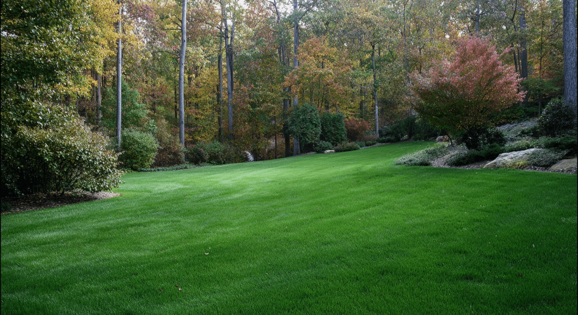 cool season grass timing