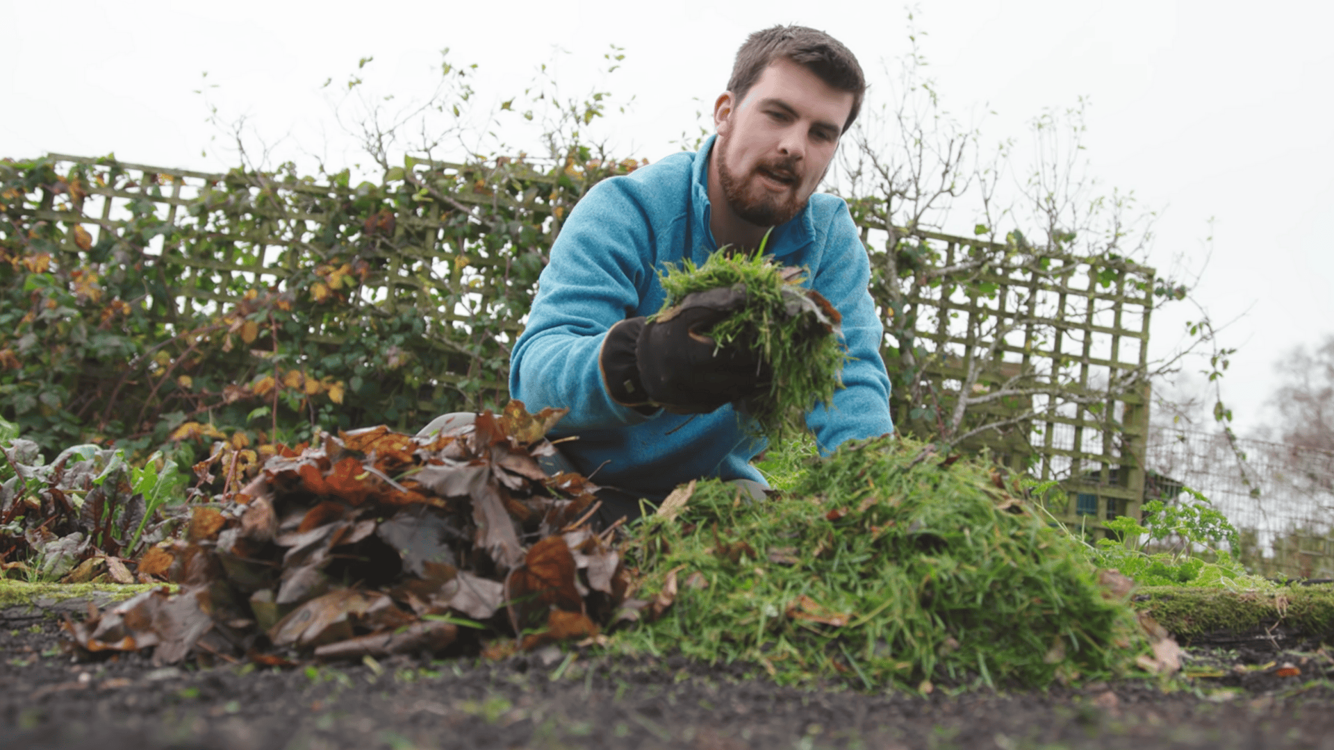 gather your browns and greens