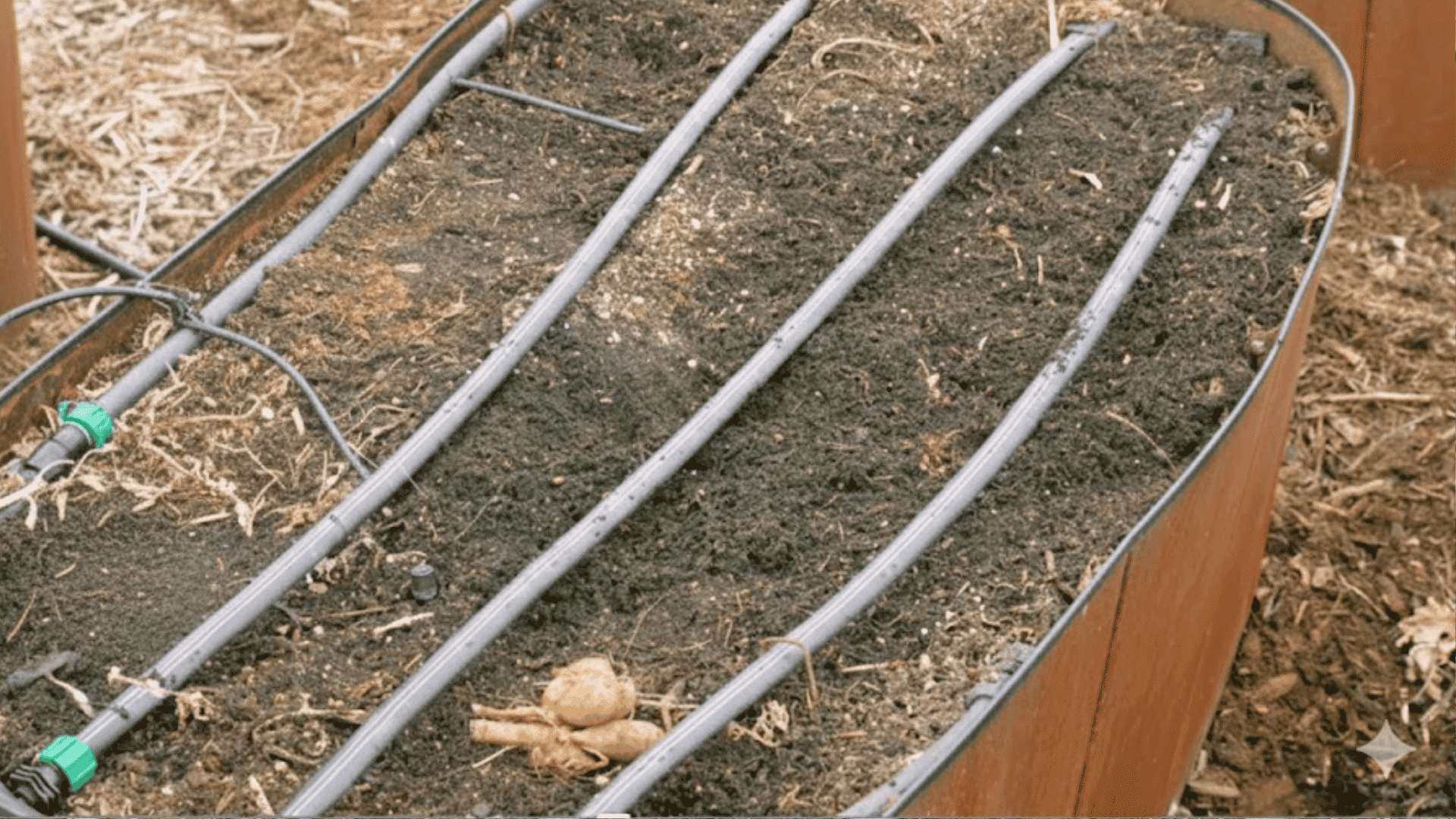 hold off on watering