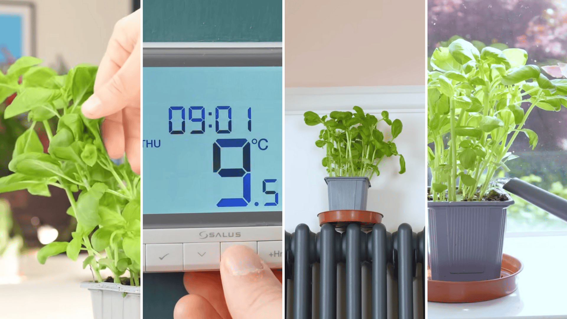 manage temperature water and feeding properly