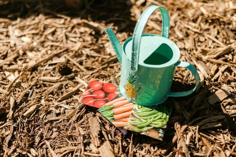 5 Ways Paper Waste Impacts Your Garden (And What Gardeners Can Do About It)