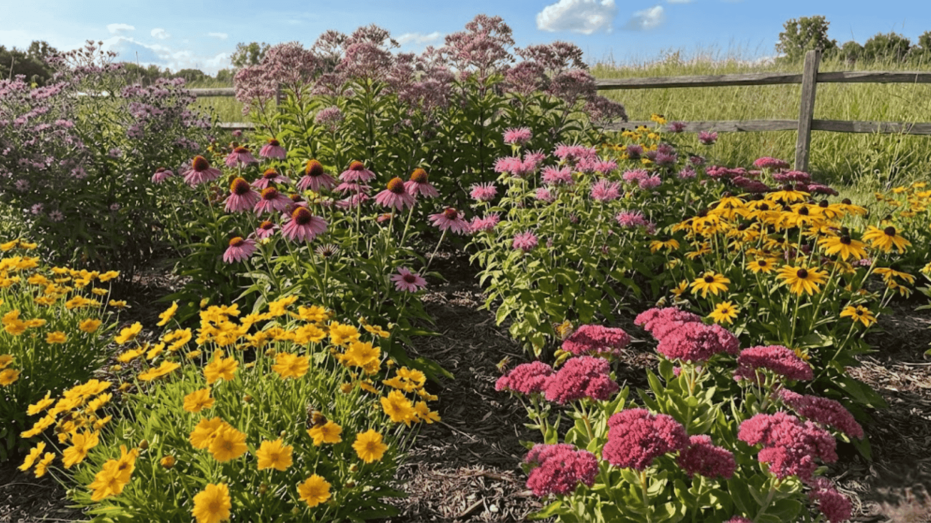 plan 2 pollinator friendly garden