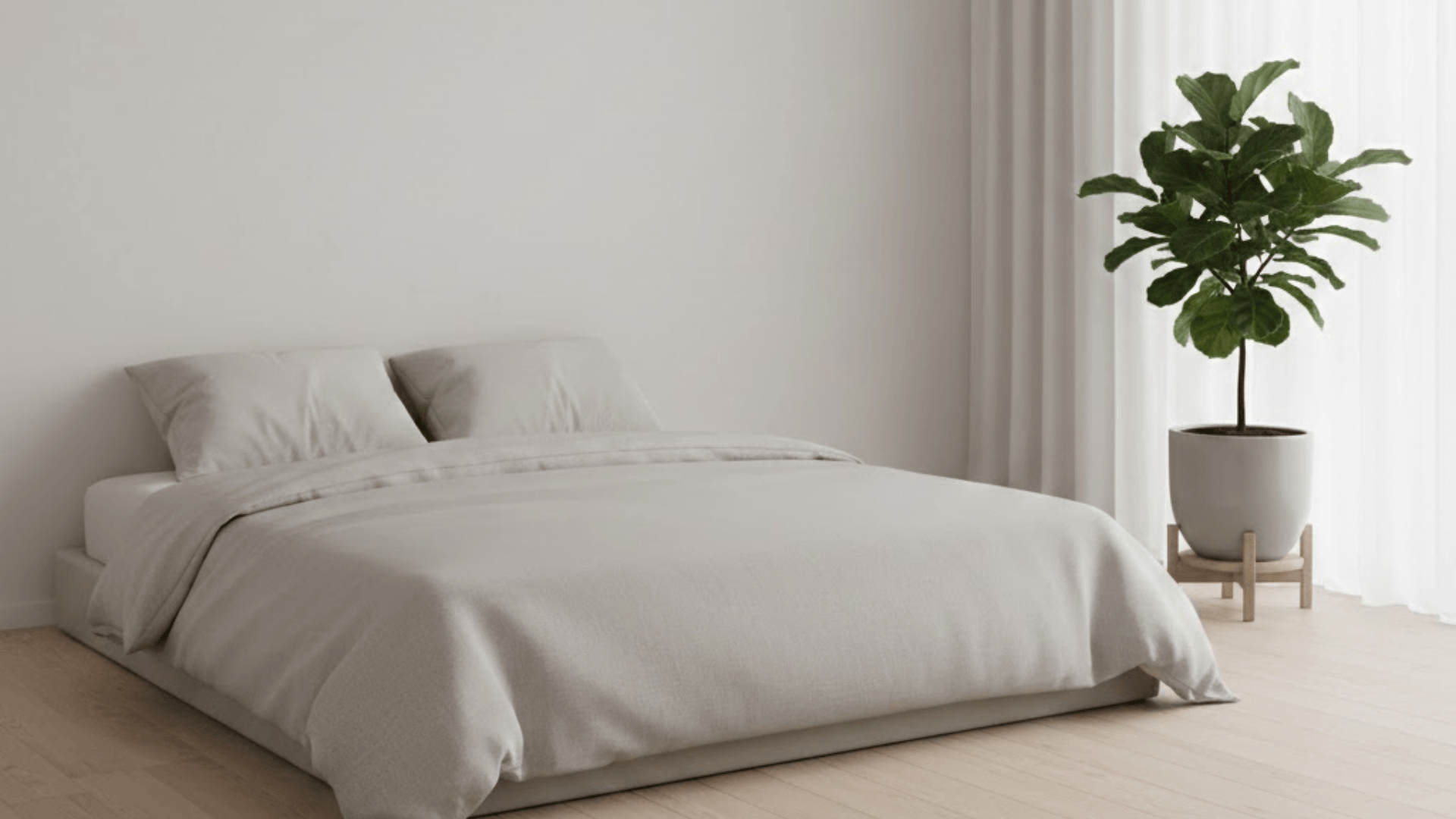 plants in the bedroom