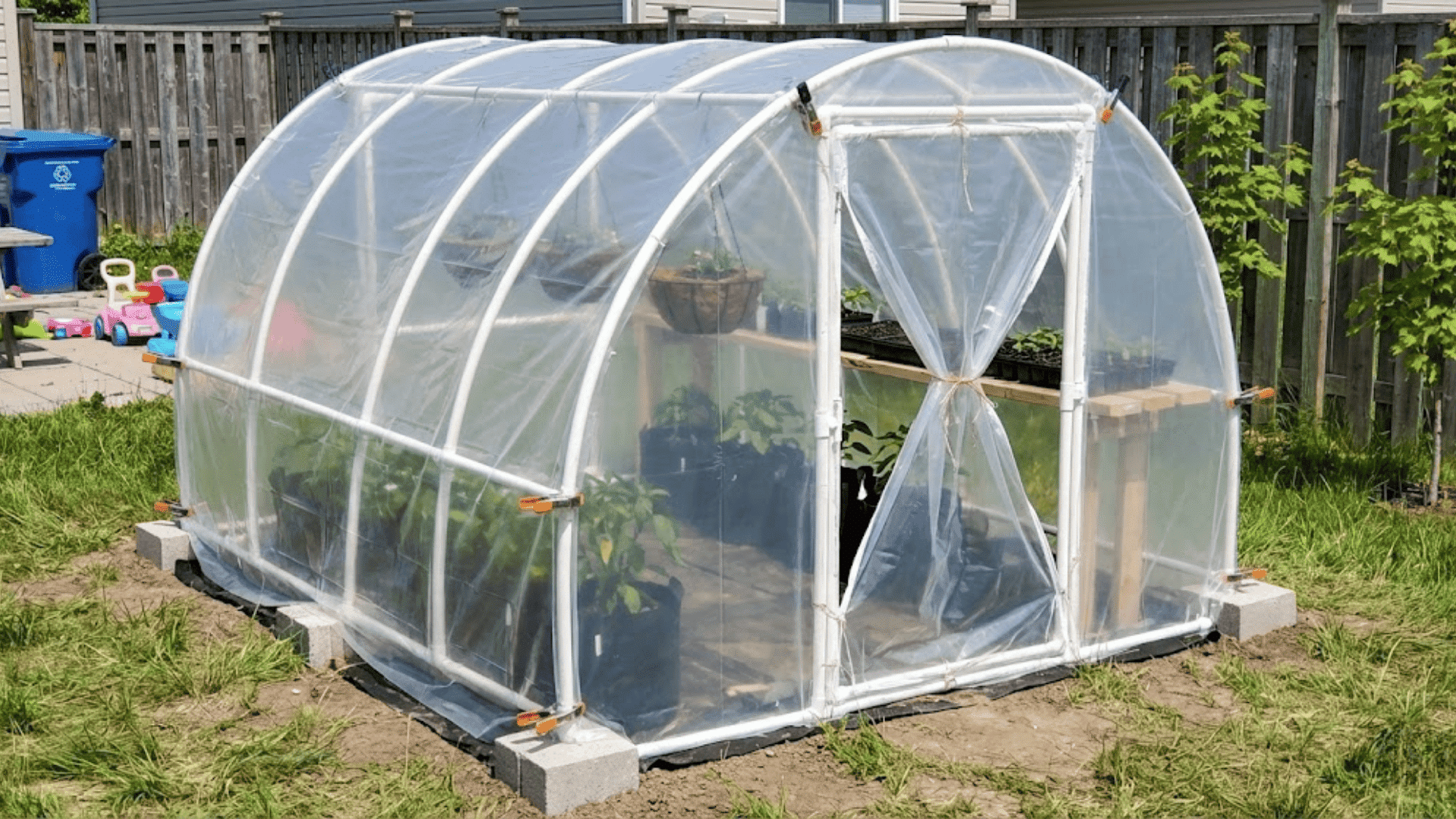 pvc pipe greenhouse