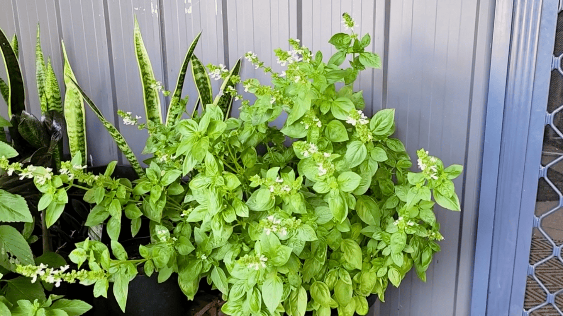 special harvesting situations