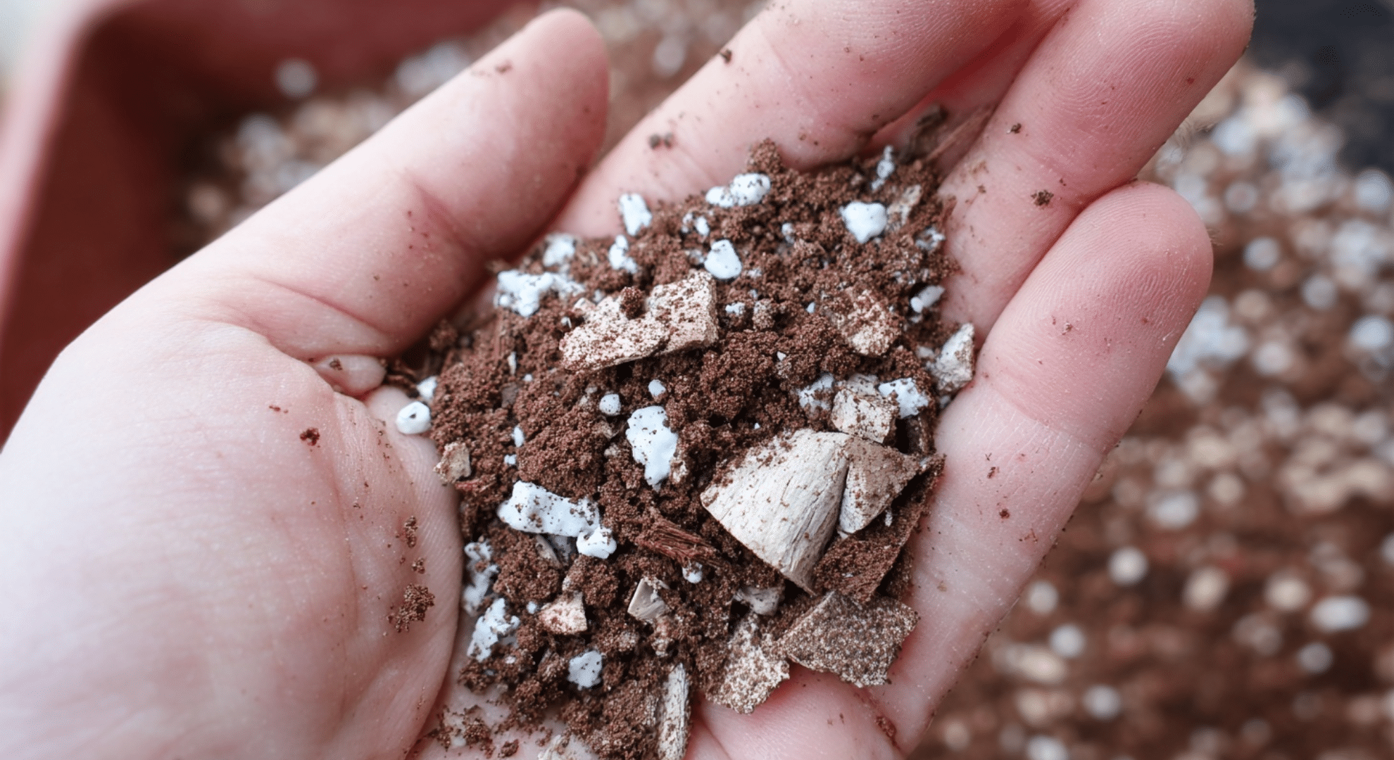 understanding-potting-soil-composition-and-expiration