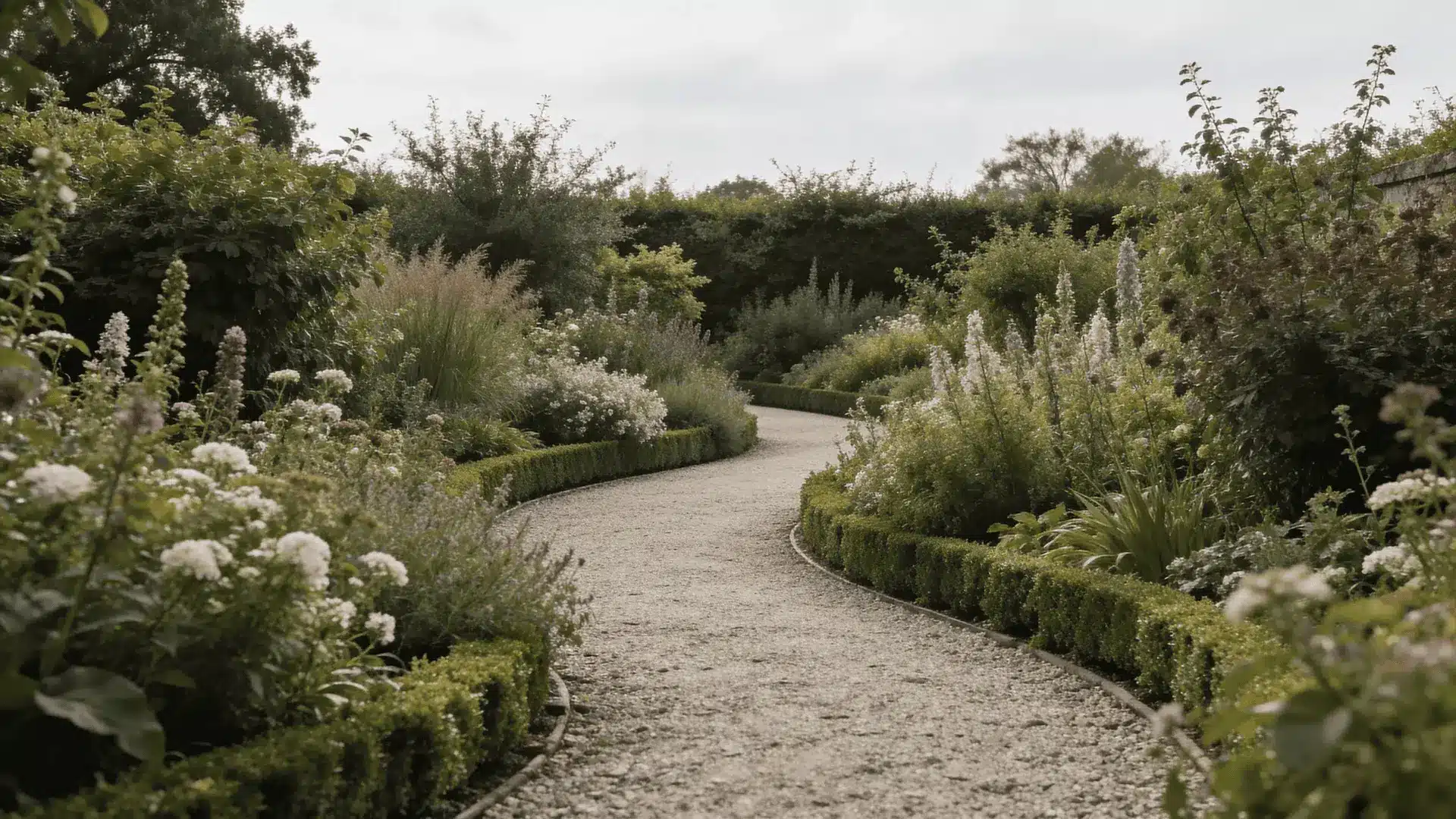 Curved gravel path through dense layered flower beds bordered by a low hedge