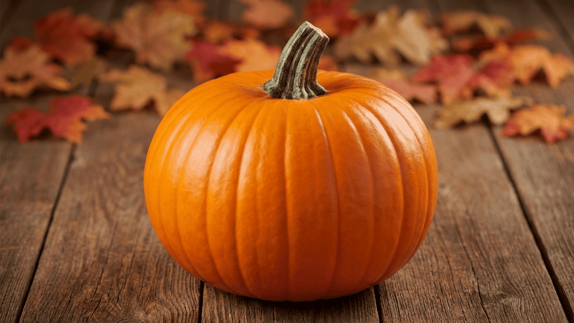 Jack O'Lantern Pumpkin