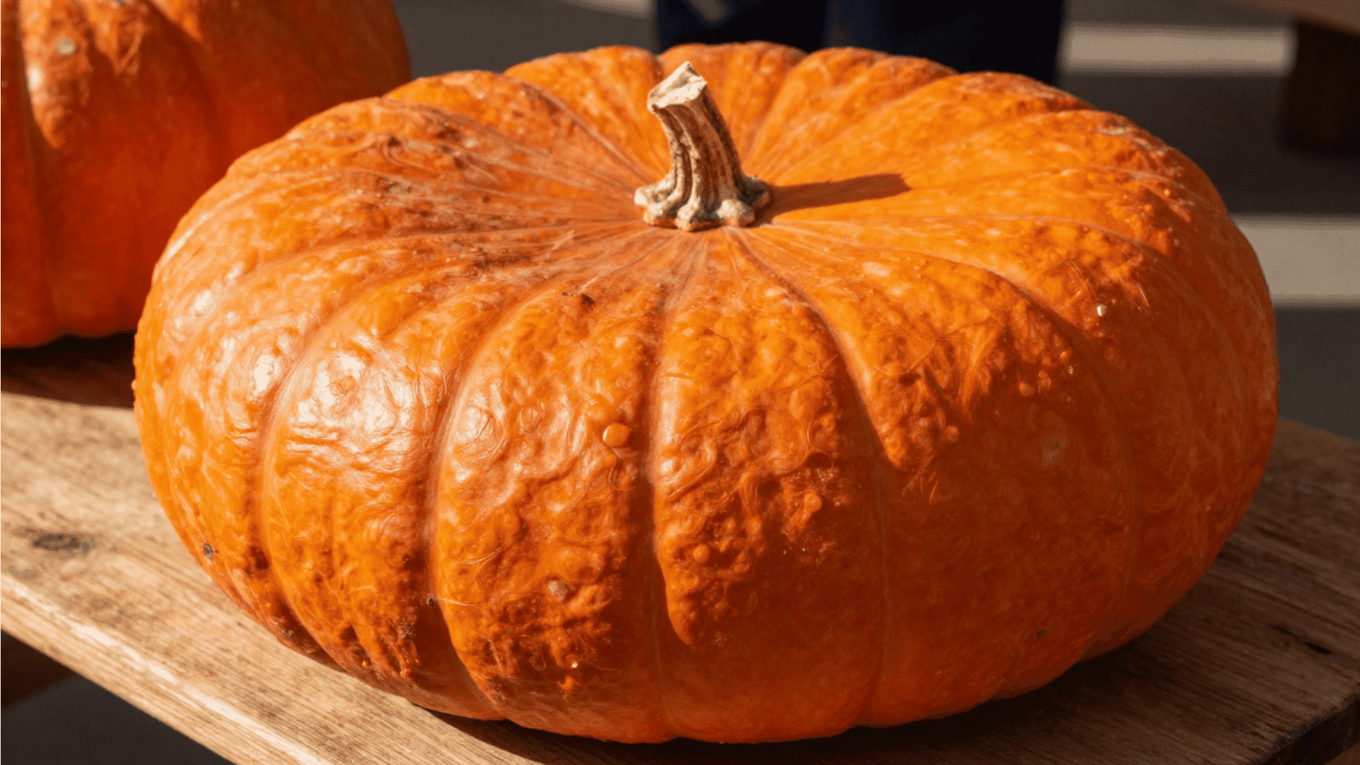 Rouge Vif d'Etampes pumpkins