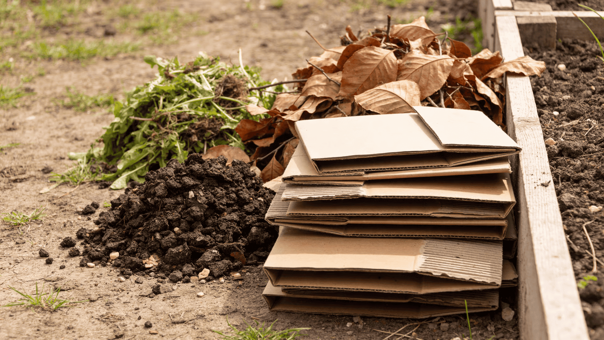 Separate piles of cardboard, leaves, plant waste, and compost