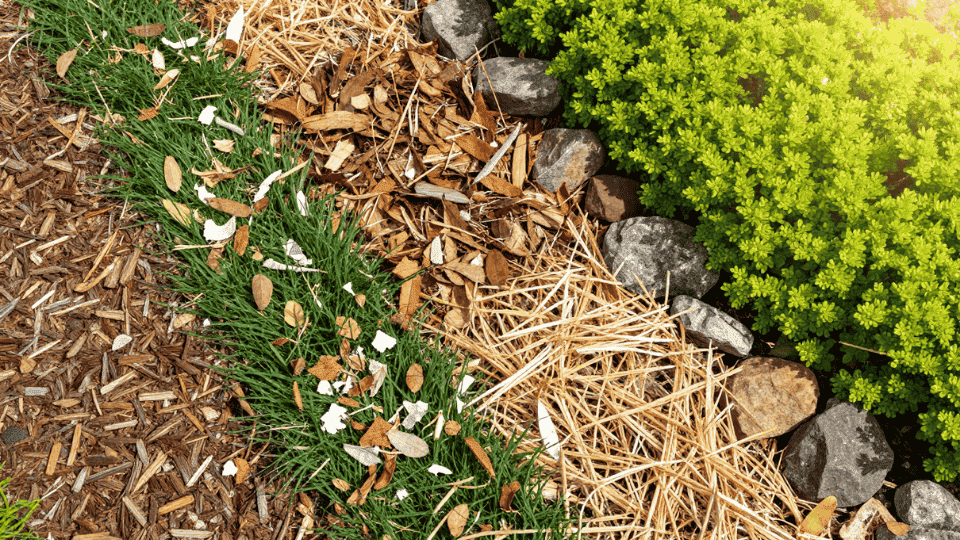 alternatives to mulch
