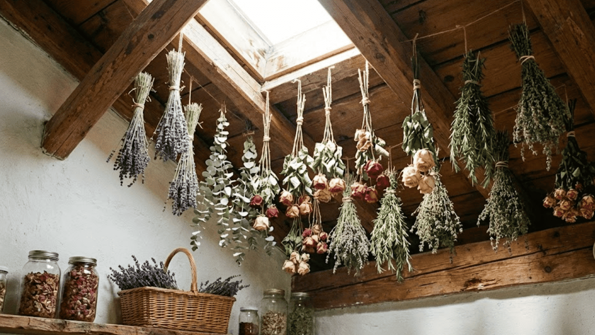bundles of lavender roses and eucalyptus hanging upside down from wooden beams to air dry naturally