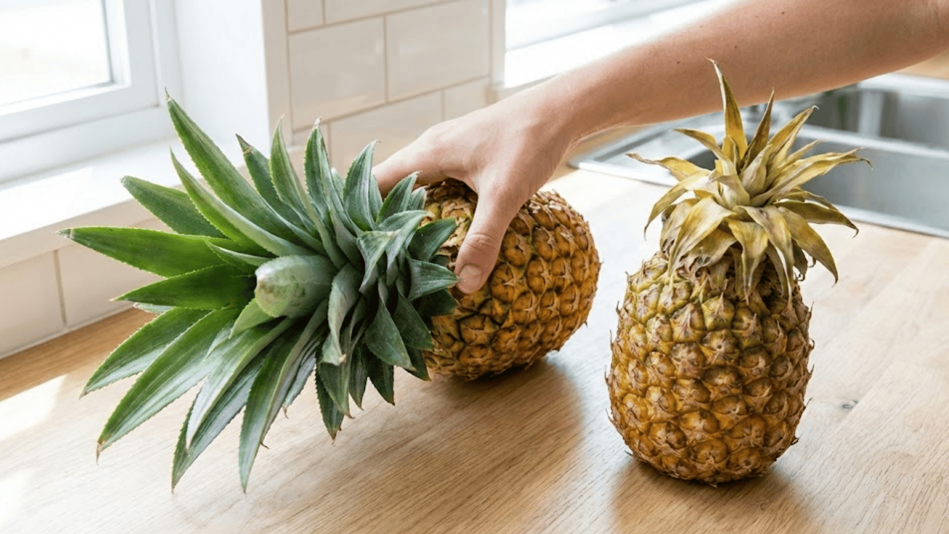 healthy pineapple crown with green leaves next to wilted crown comparison on wooden surface