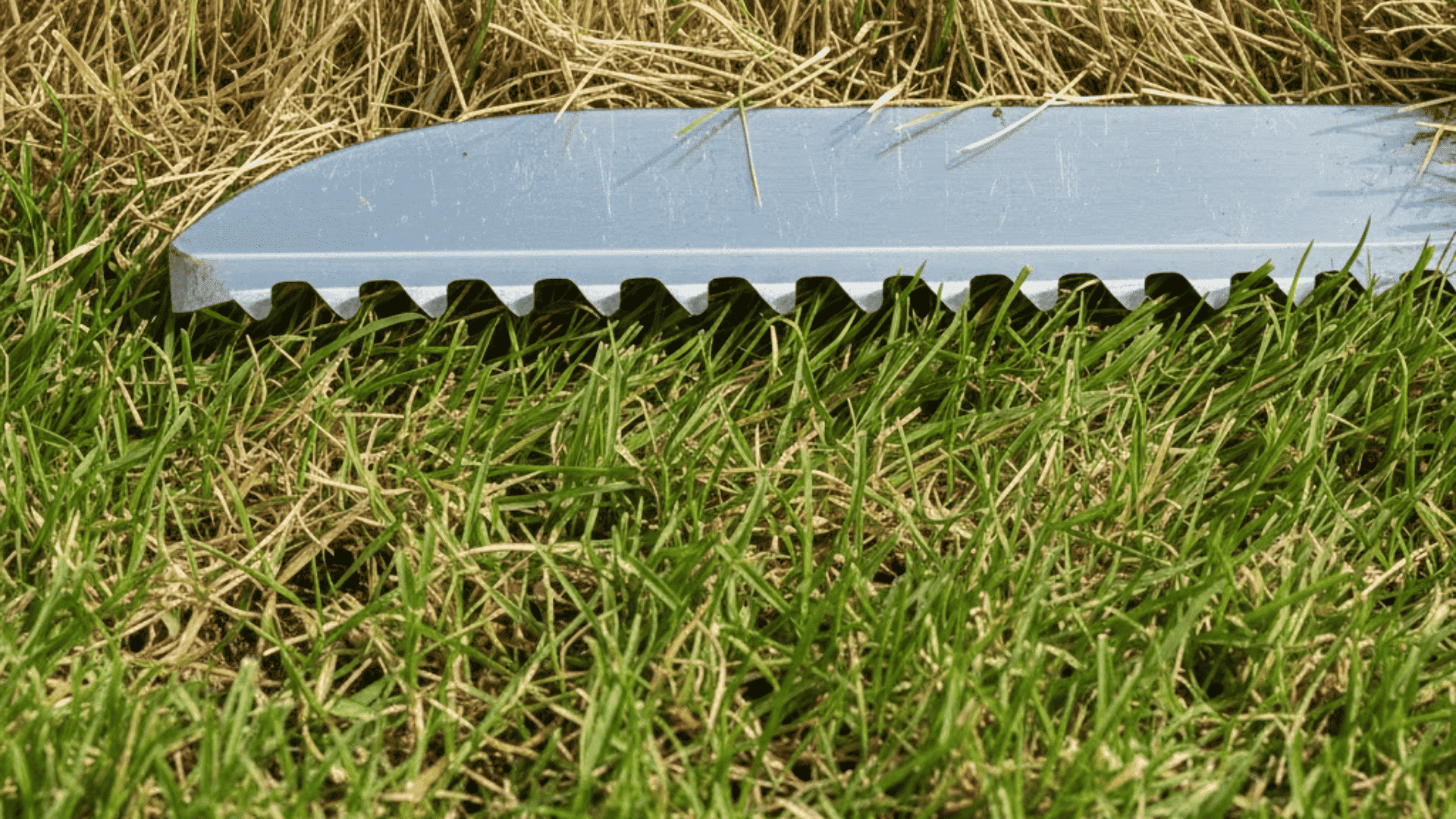 key-mowing-rules-that-matter-more-than-time