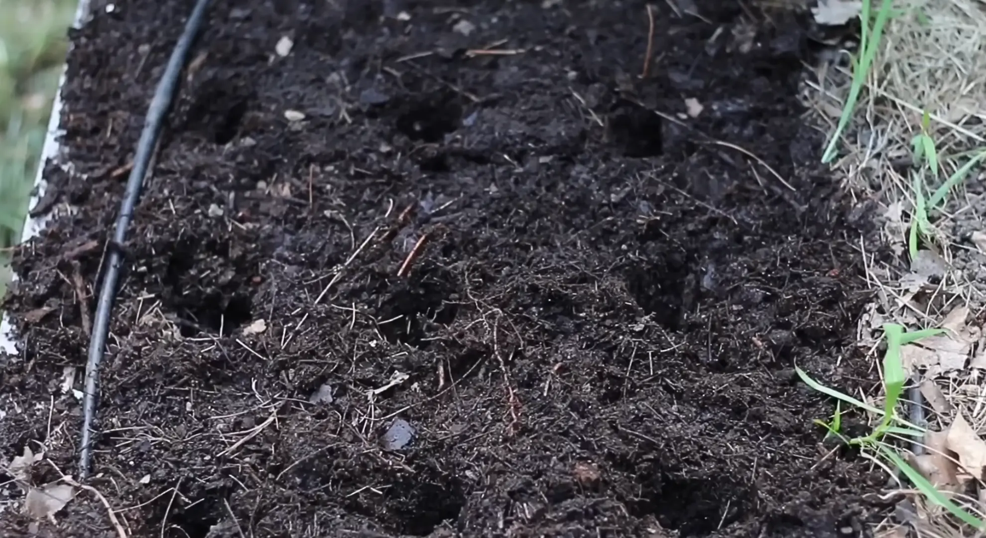 planting seed at appropriate distance with depth