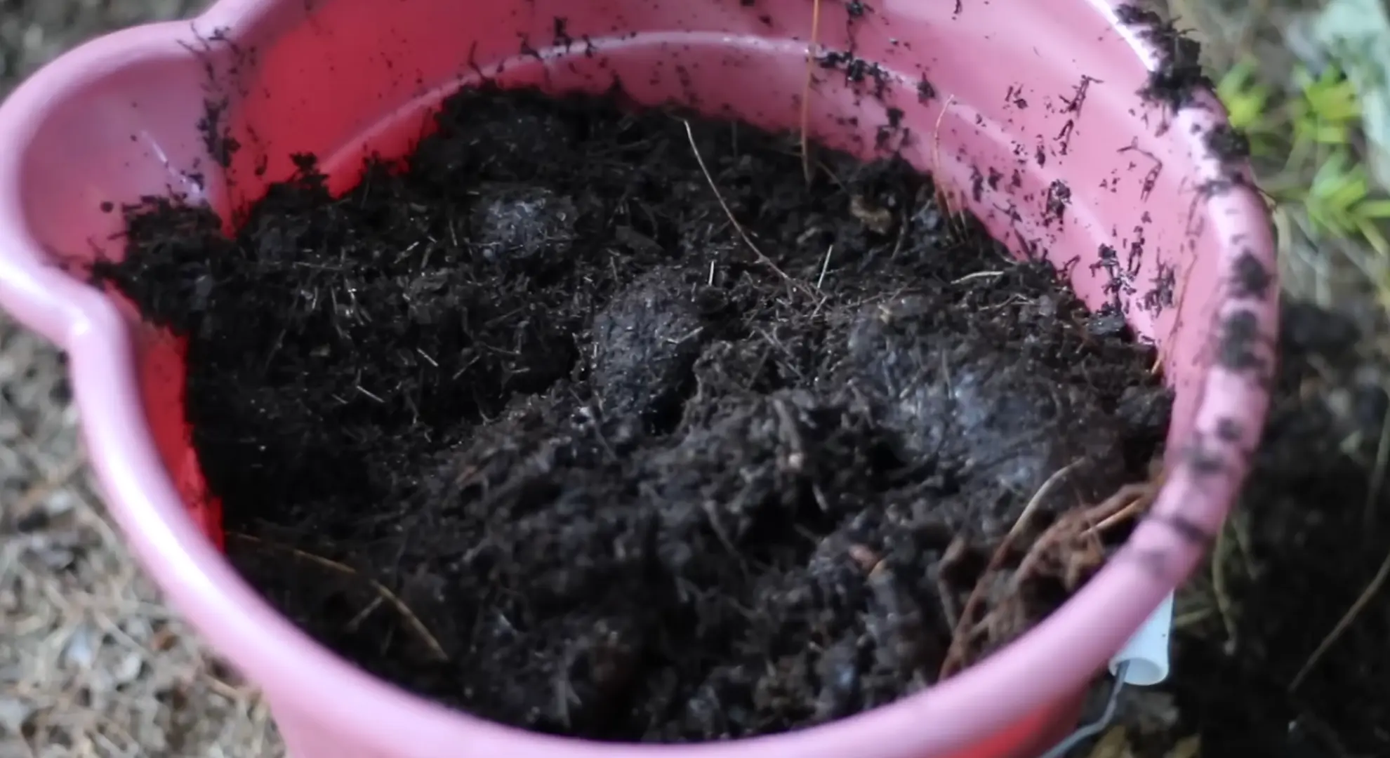 preparing the soil for planting