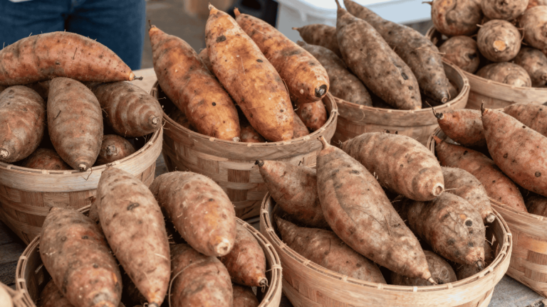 sweet potato varieties