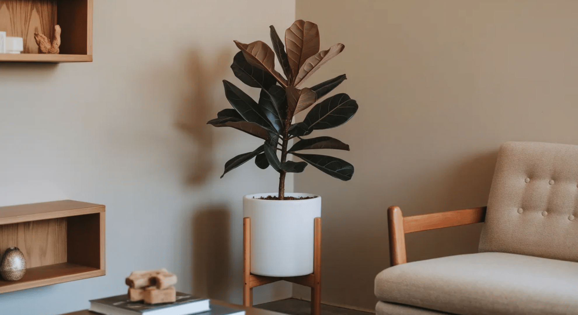 temperature and humidity preferences