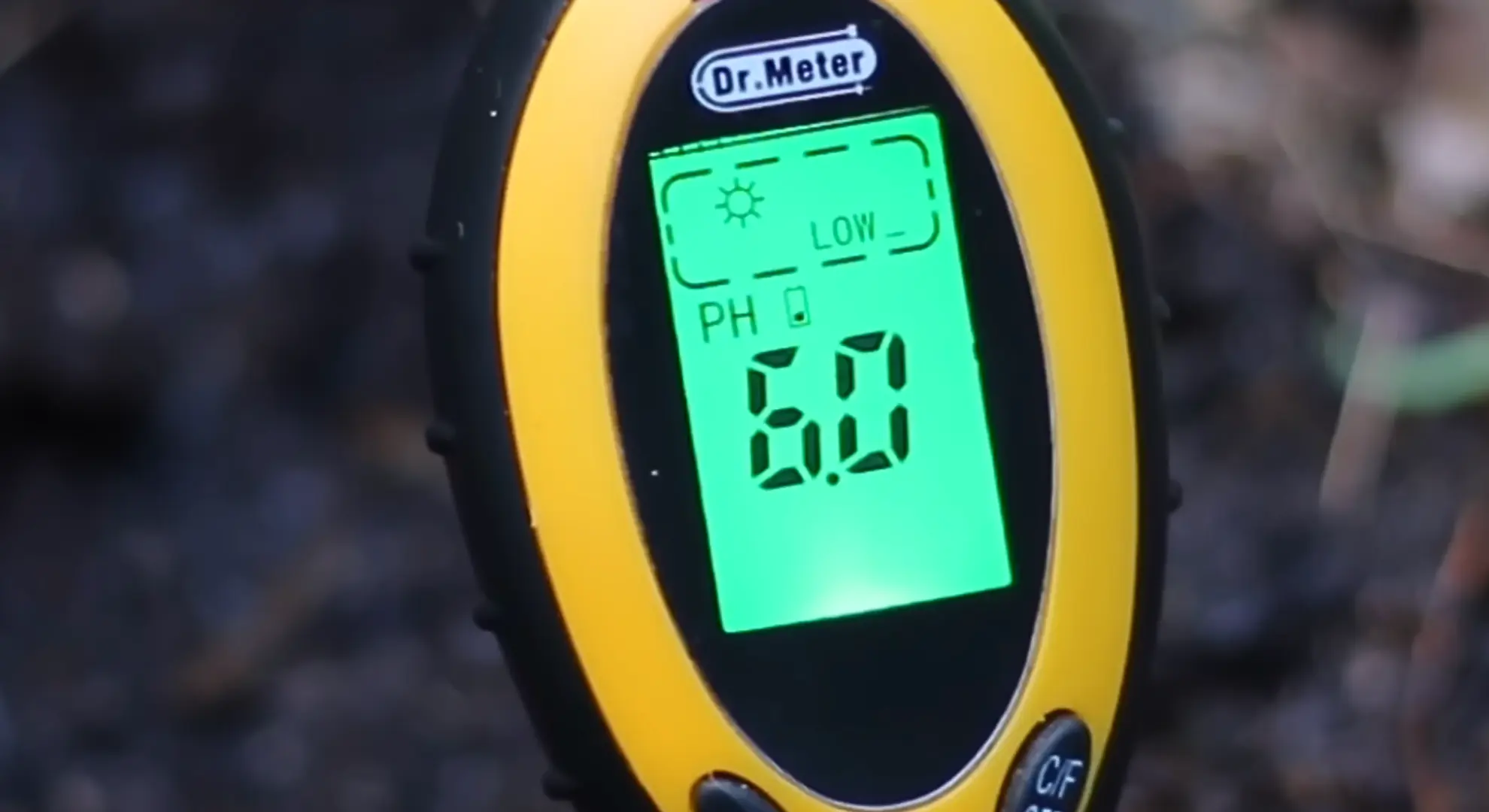 temperature of the soil taken