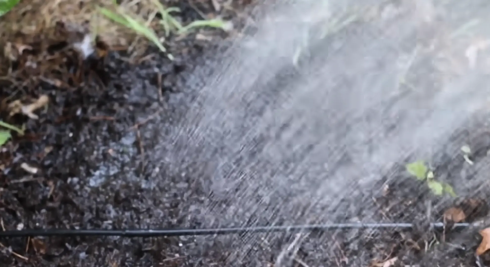 watering the soil for germination