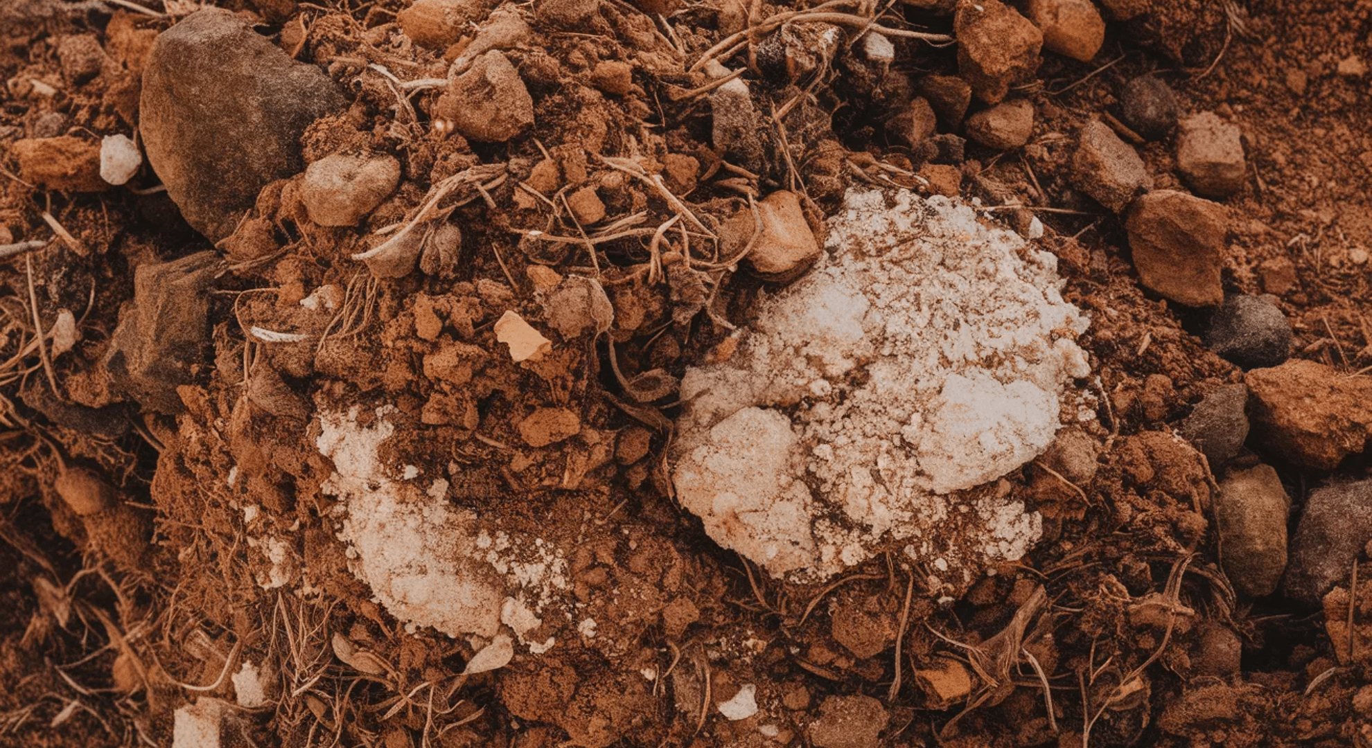 what makes the best soil for aloe vera