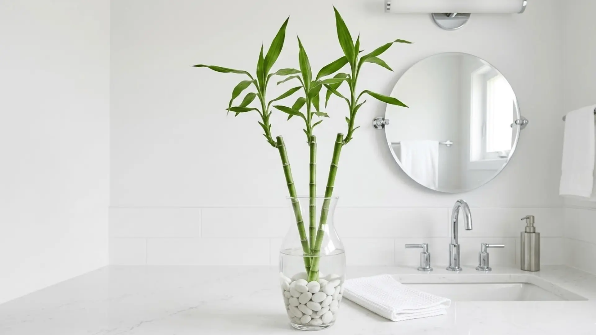lucky bamboo stalks in a glass vase with white pebbles on a quartz bathroom counter with chrome fixtures