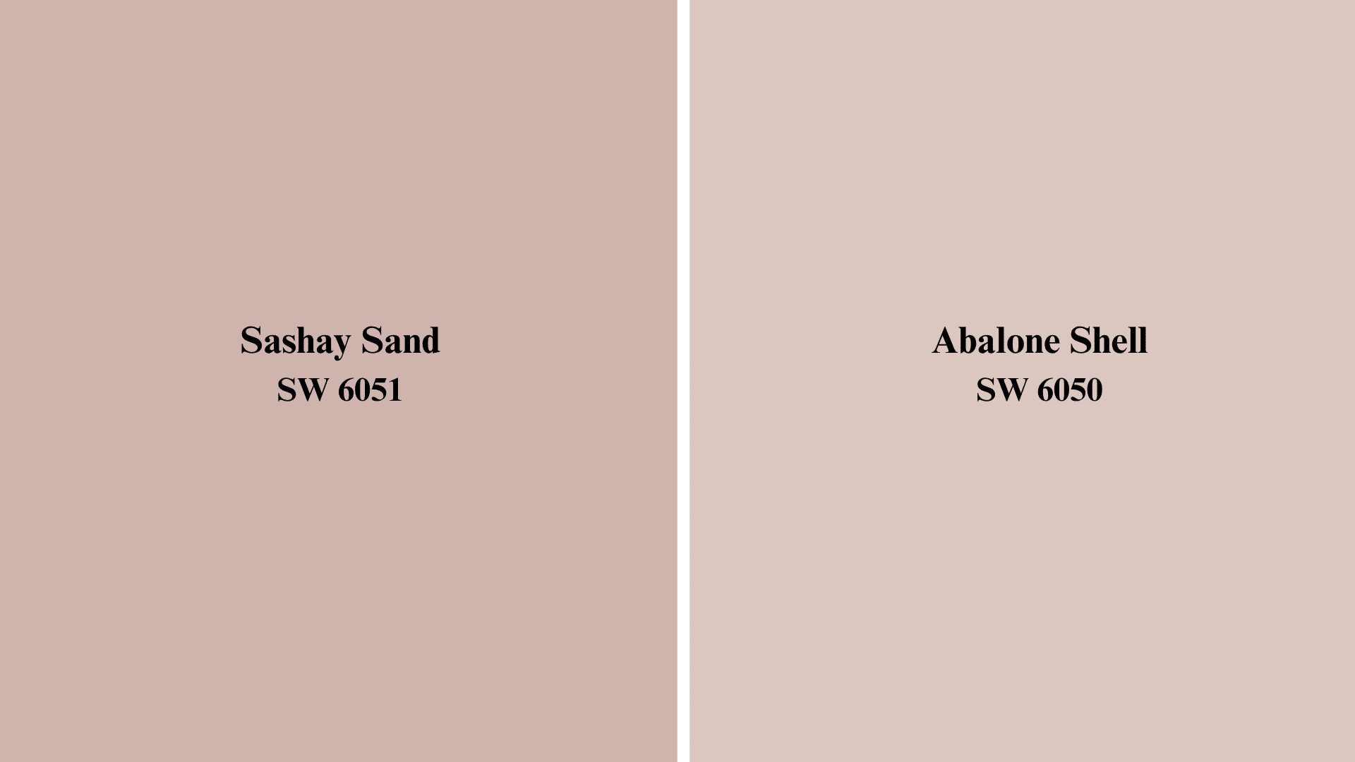 sashay sand vs abalone shell