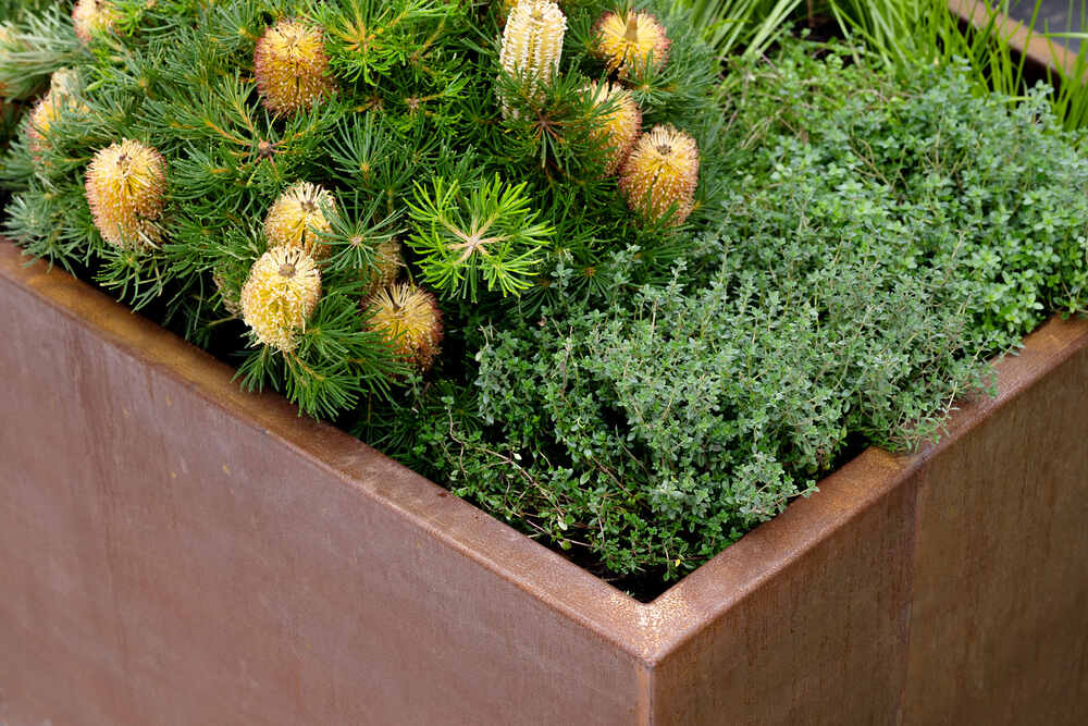 How Planter Boxes Can Help Organise Outdoor Spaces