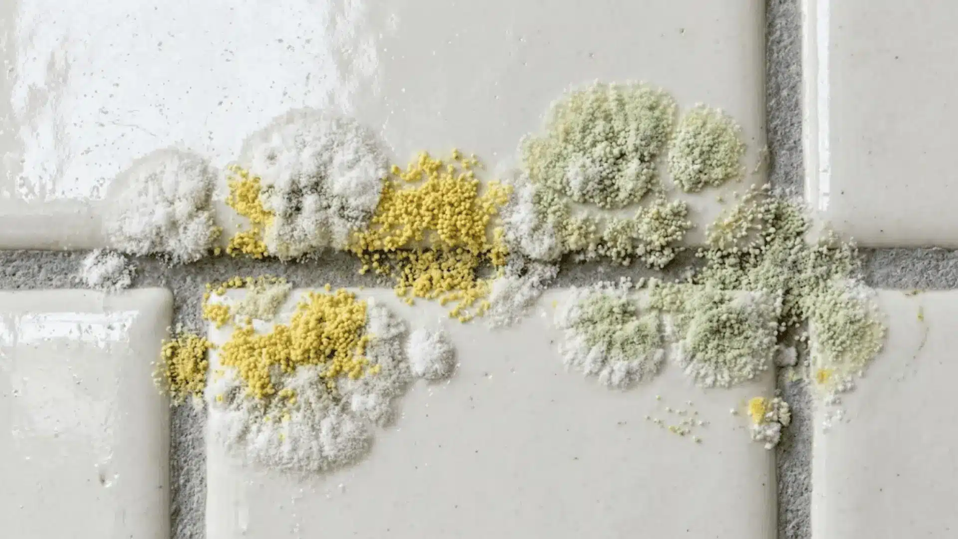 aspergillus mold colonies in white yellow and green on bathroom tile grout lines