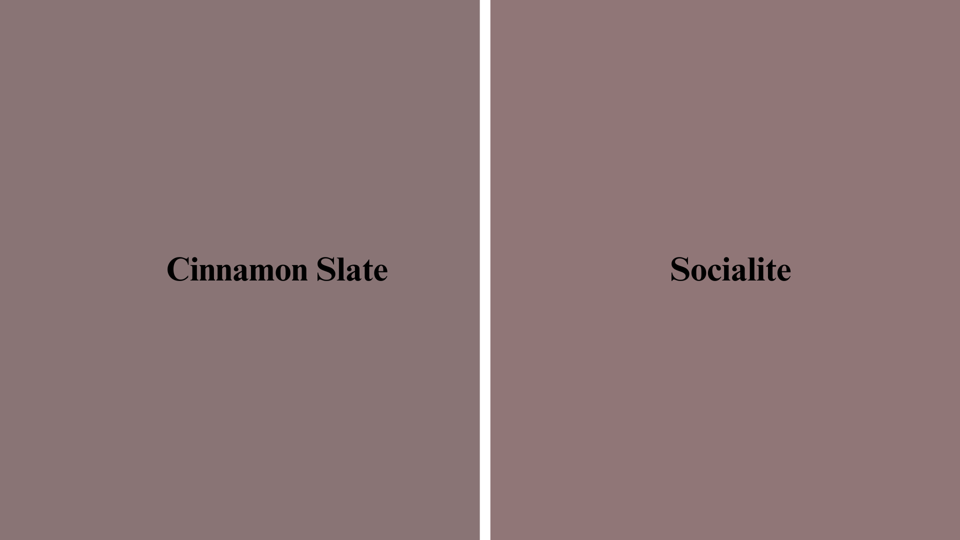Cinnamon-Slate-vs-Sherwin-Williams-Socialite