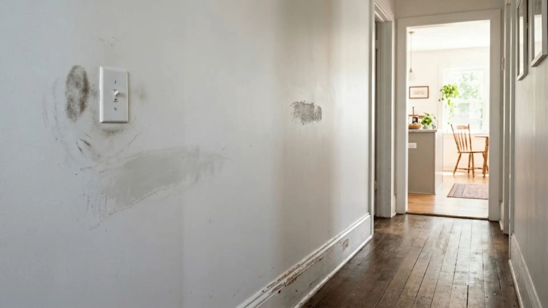 flat matte white hallway wall showing fingerprint smudges scuffs and uneven wiped patches in natural daylight