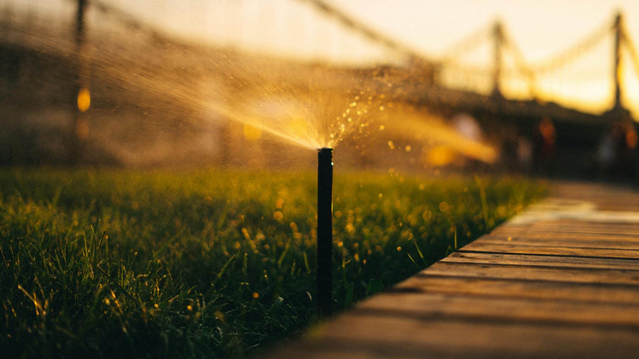 What Backyard and Landscape Maintenance Matters Most