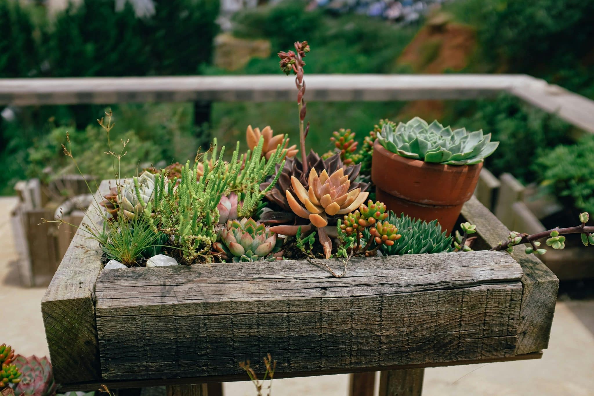 Supporting Lawn Maintenance