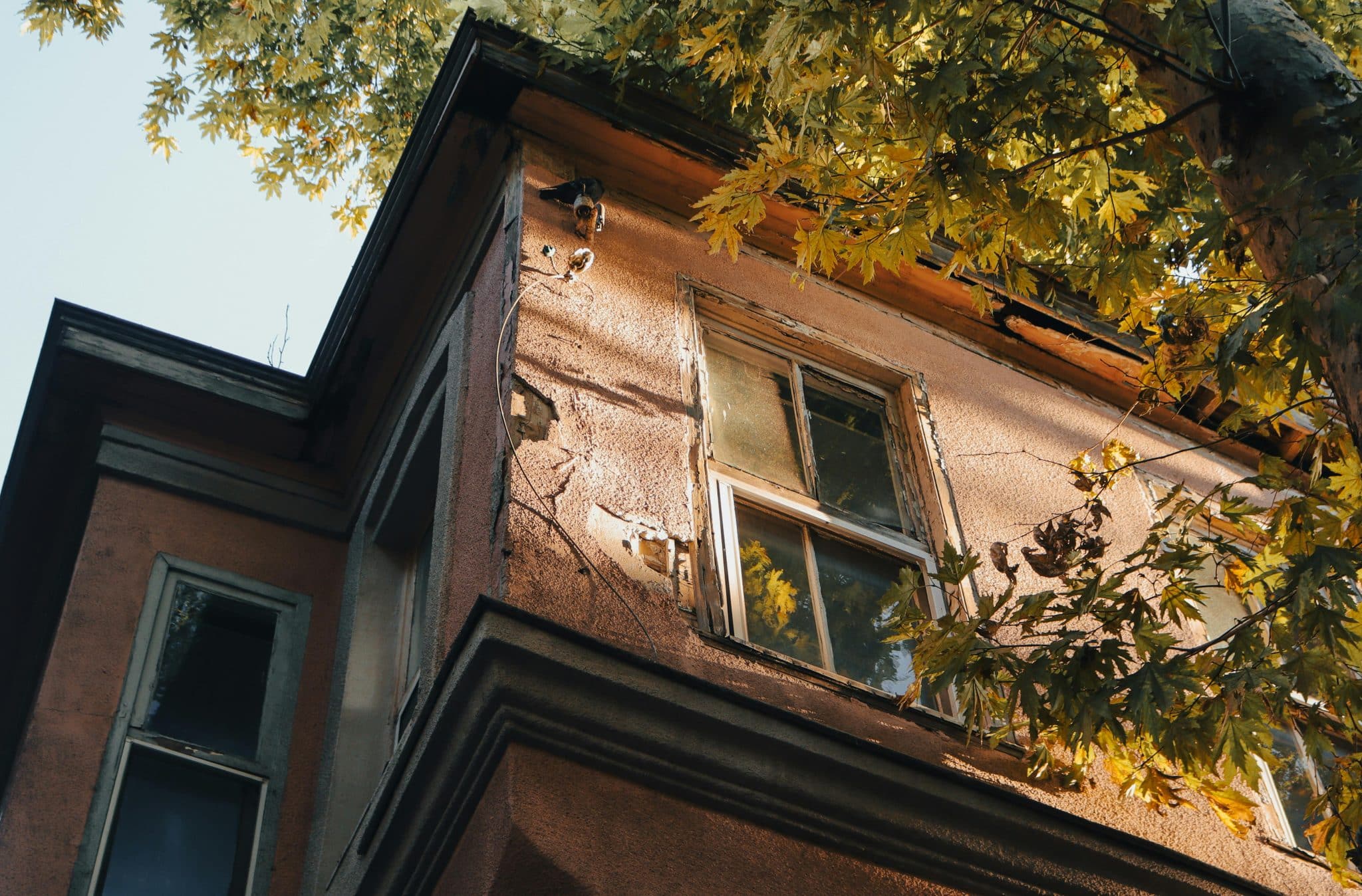 Cracks that Tell a Deeper Story