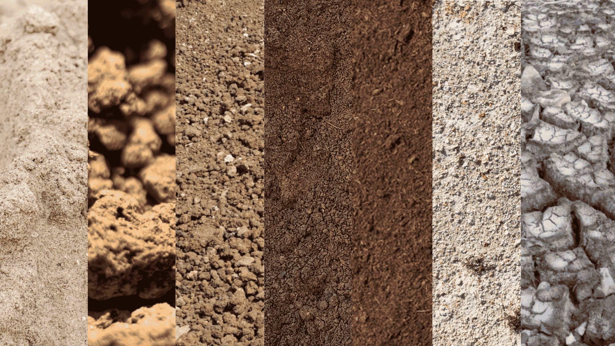 seven soil types shown side by side including sandy clay silty peaty loamy chalky and saline soil textures (1)