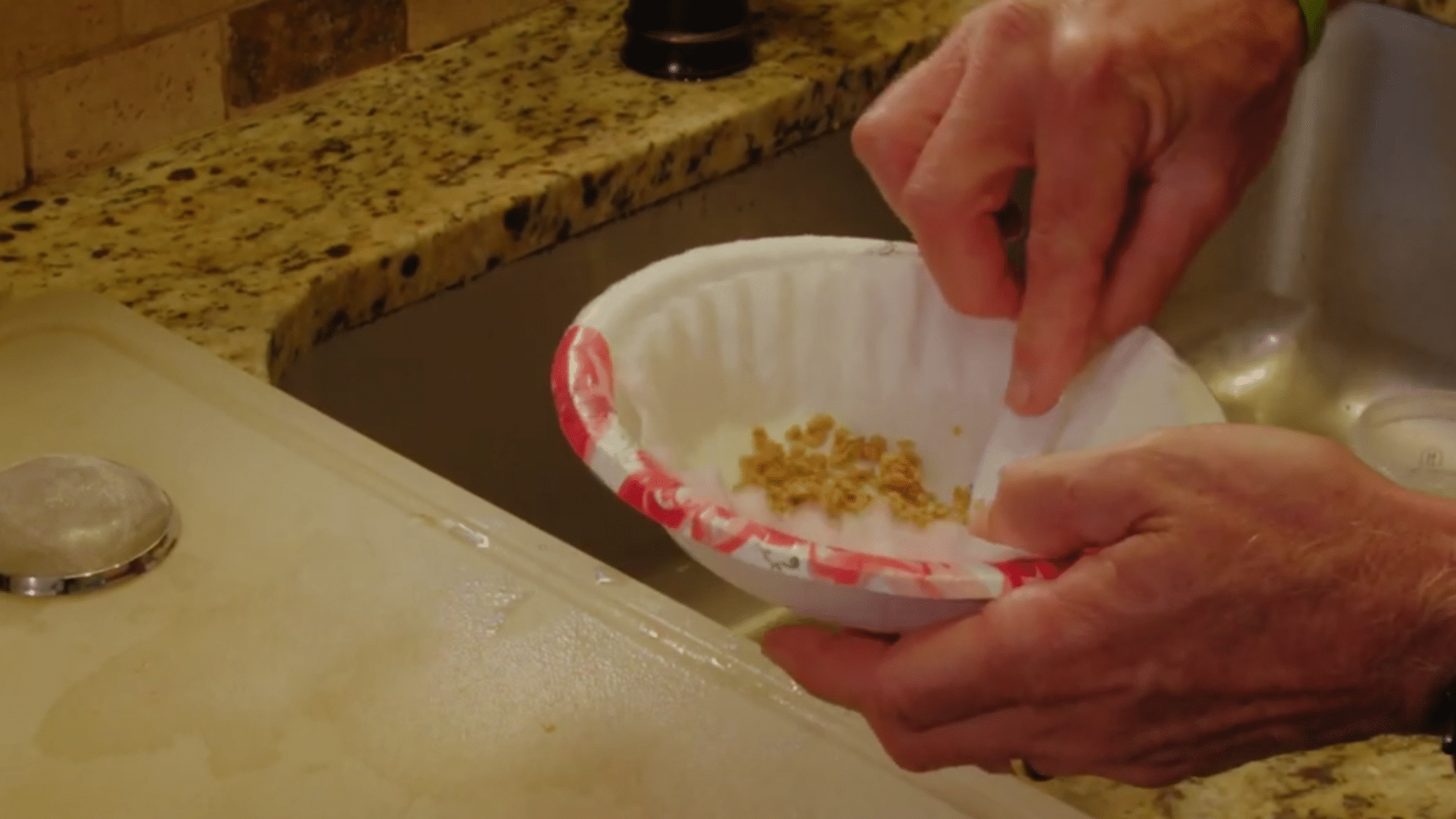 tomato seeds spread on coffee filter or parchment drying in warm airy kitchen environment