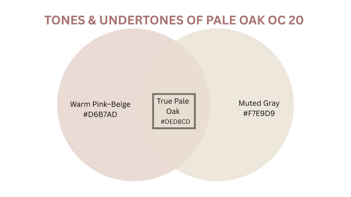 pale oak benjamin moore, a venn diagram showing pink beige and gray undertones balance in soft greige