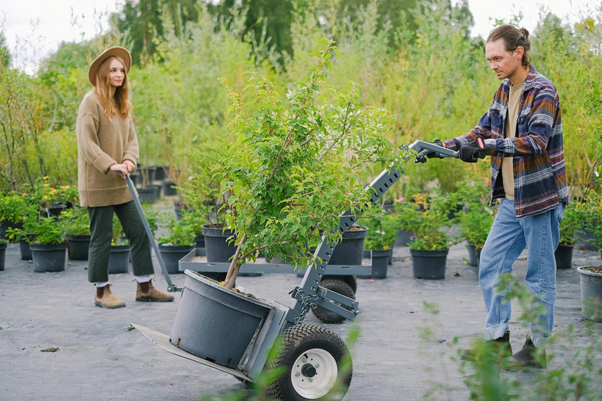 How to Move Your Garden: A Gardener's Playbook for Taking Plants With You When You Relocate