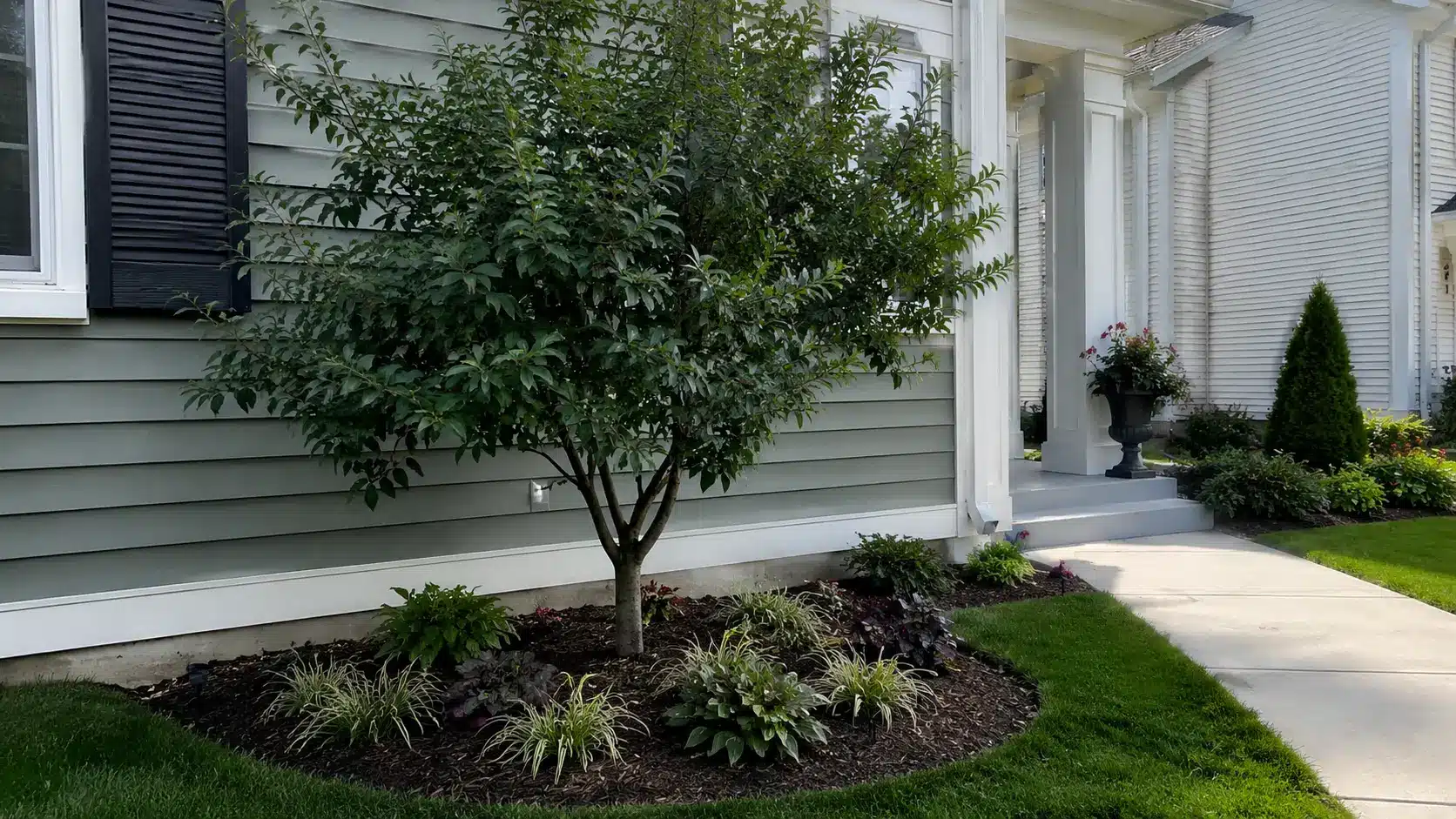 small front yard landscaping ideas, small tree near house