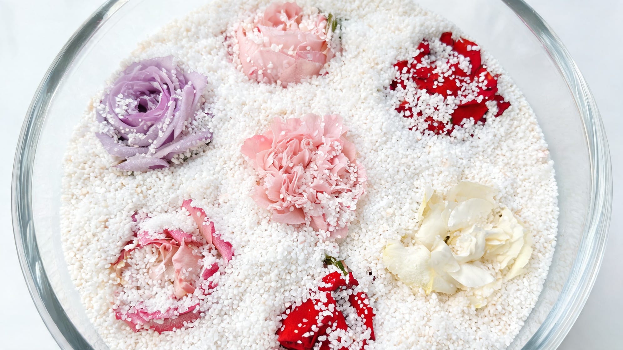 flowers in silica gel for how to preserve flowers