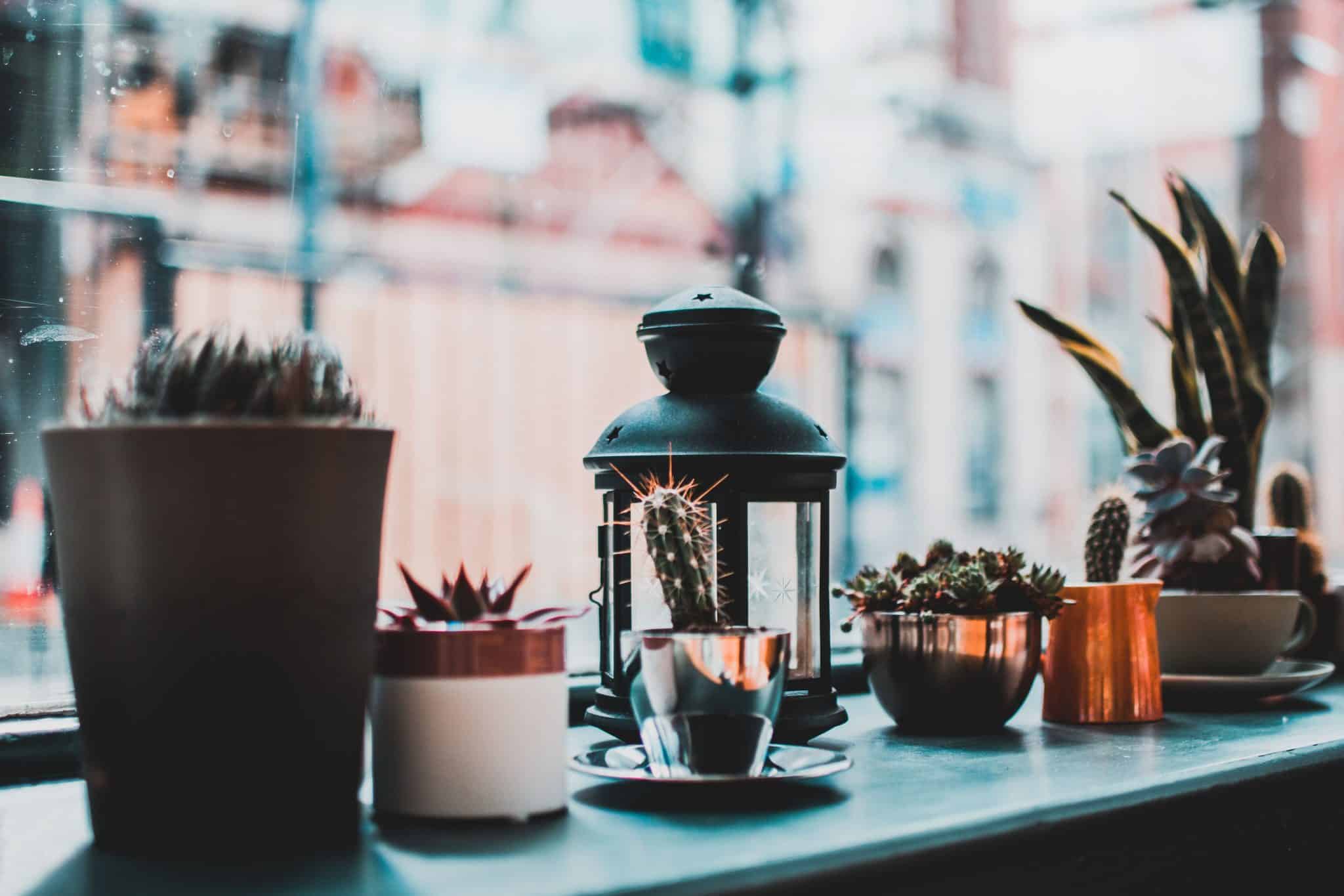 Bringing the Garden Indoors: How to Create a Botanical Aesthetics in Your Living Room