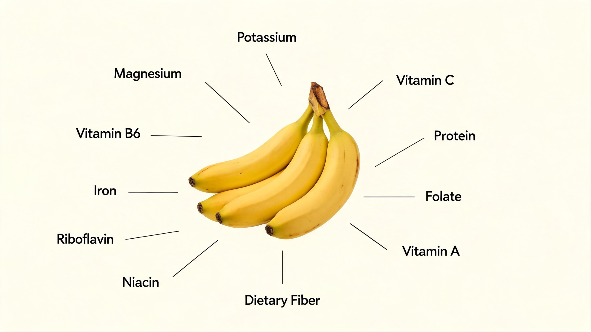 do bananas have iron banana nutrition infographic showing iron potassium magnesium fiber and vitamins