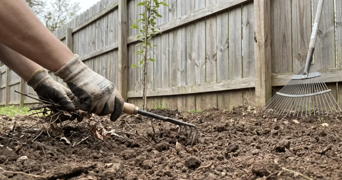 gloved hands raking debris and small twigs from loosened brown soil in a backyard garden bed near a fence