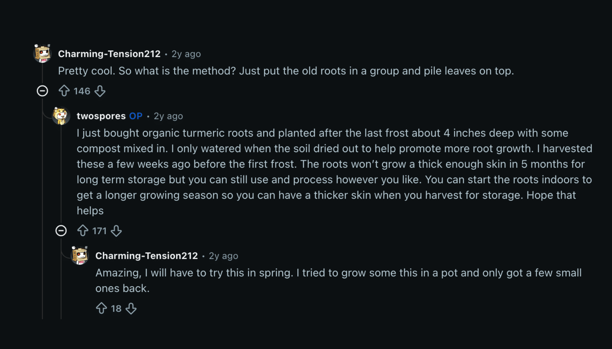 eddit users discuss planting turmeric roots with compost, watering habits, frost timing, and harvest results
