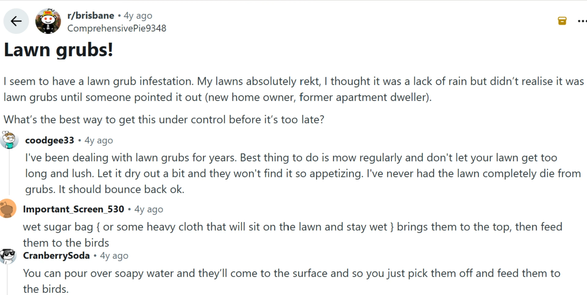 reddit discussion about lawn grubs with users sharing control tips and treatment suggestions