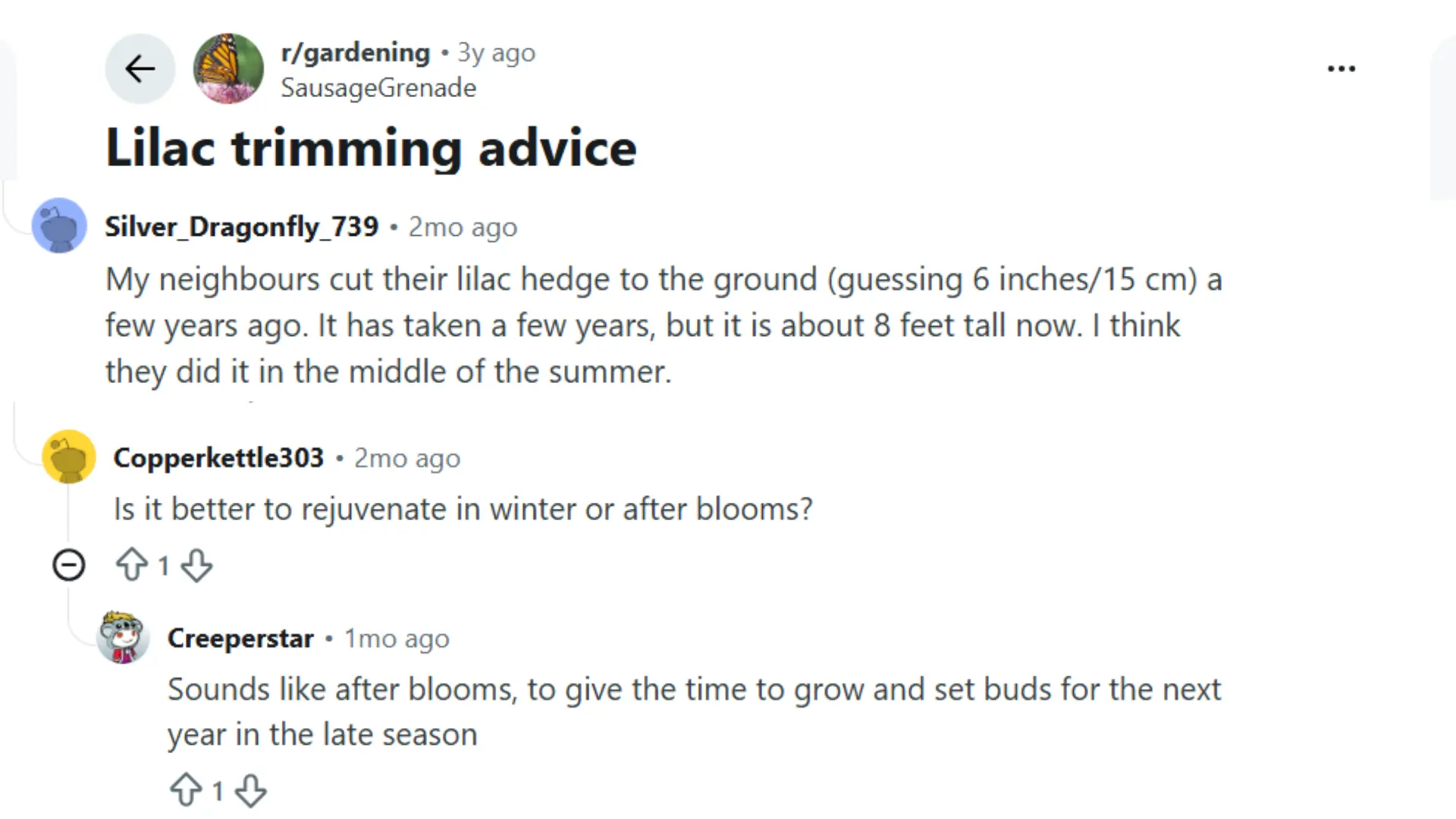 screenshot of a gardening post showing lilac bushes leaning over a driveway with a request for trimming advice