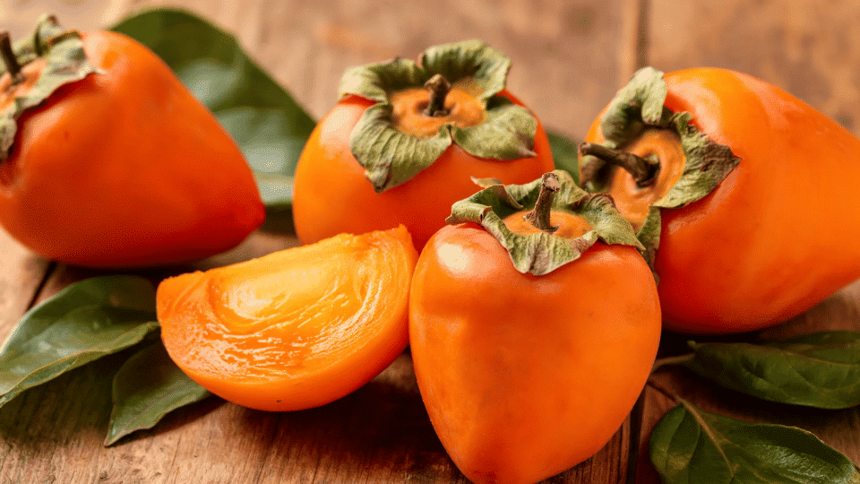 types-of-persimmons-varieties
