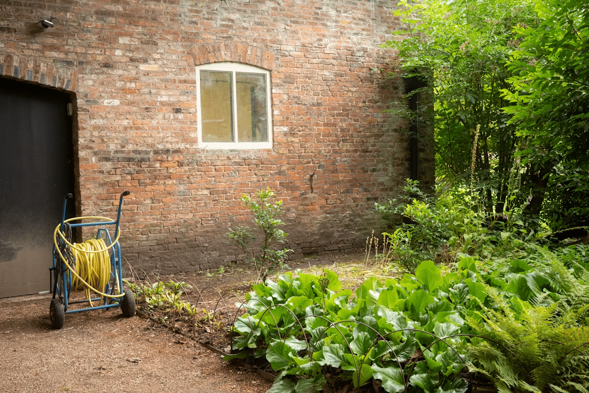 Overgrown garden with yellow hose reel beside brick wall and leafy plants